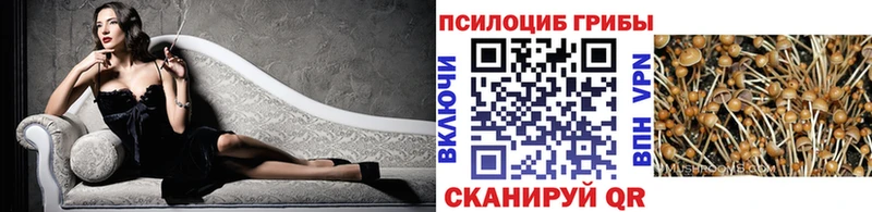 Псилоцибиновые грибы ЛСД  Назарово 