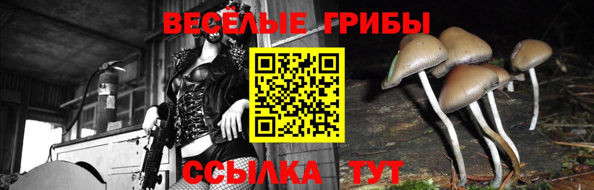 Псилоцибиновые грибы прущие грибы  Вход с VPN  Назарово 